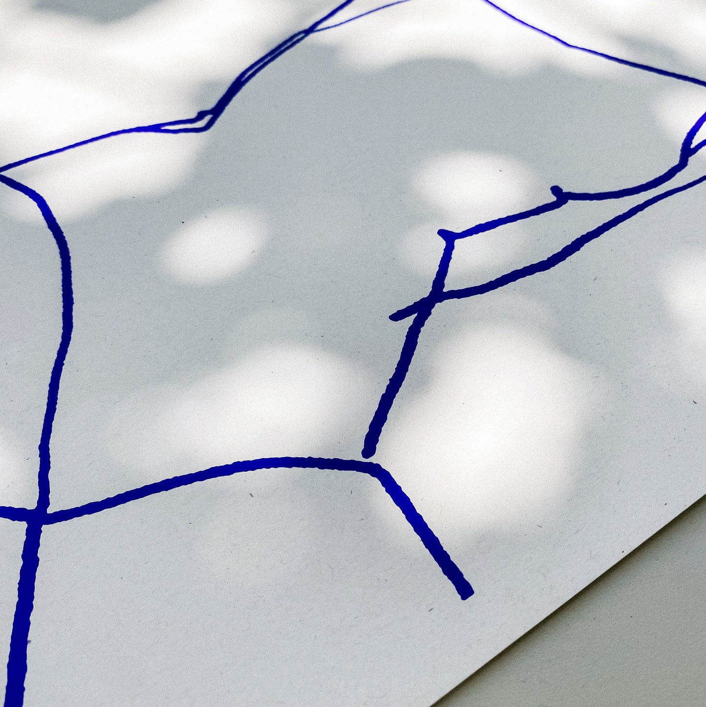 limited edition screen print, anna pepe, forn studio