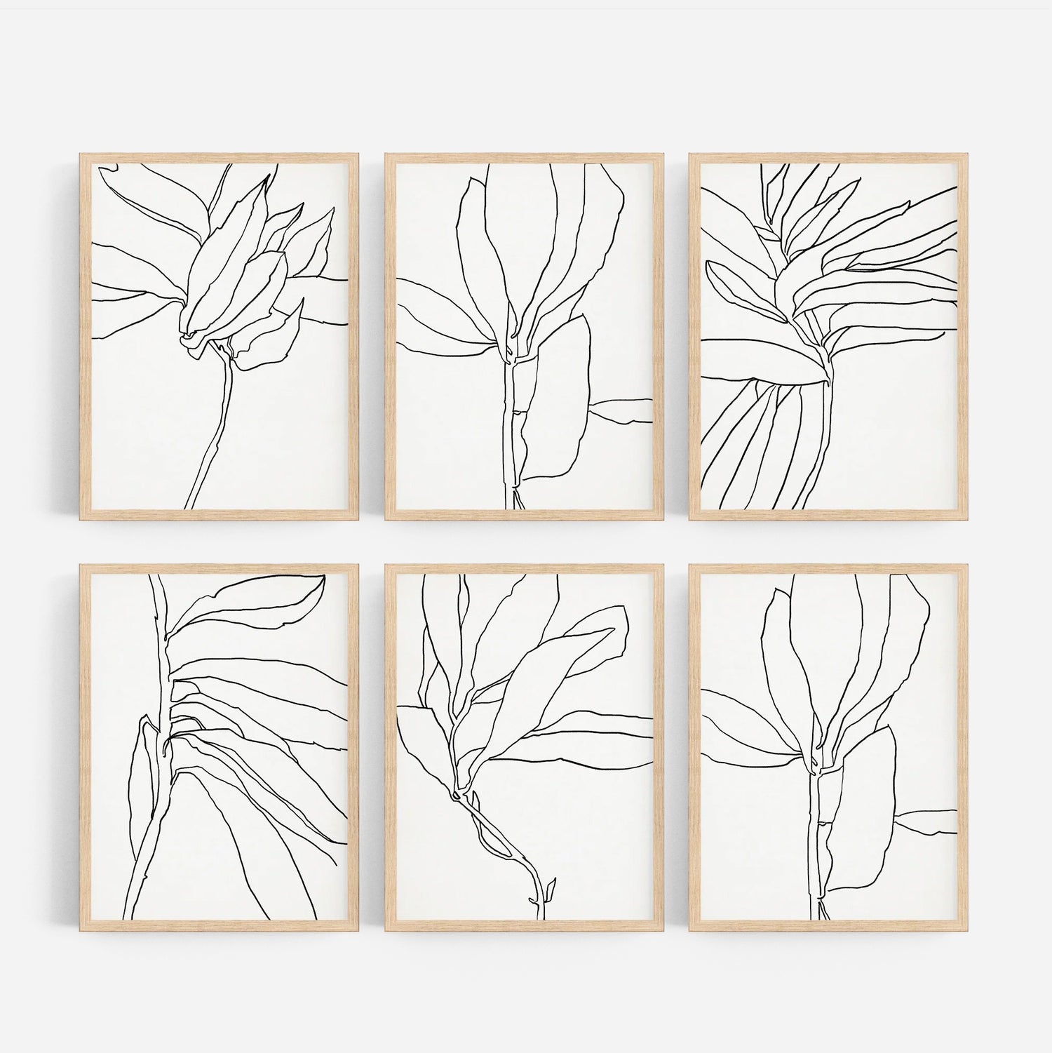 Botanical illustrations, framed prints, anna pepe, giclee print, forn studio