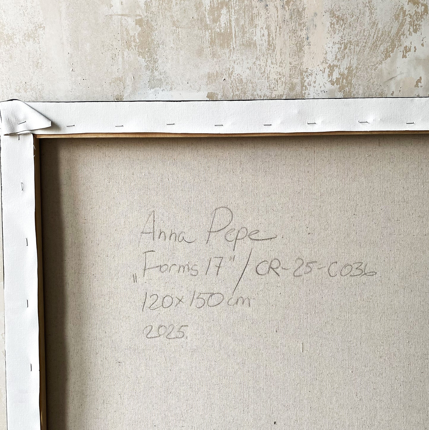 large canvas, acrylic on canvas, oversized wall art, abstract art, Anna Pepe, forn Studio