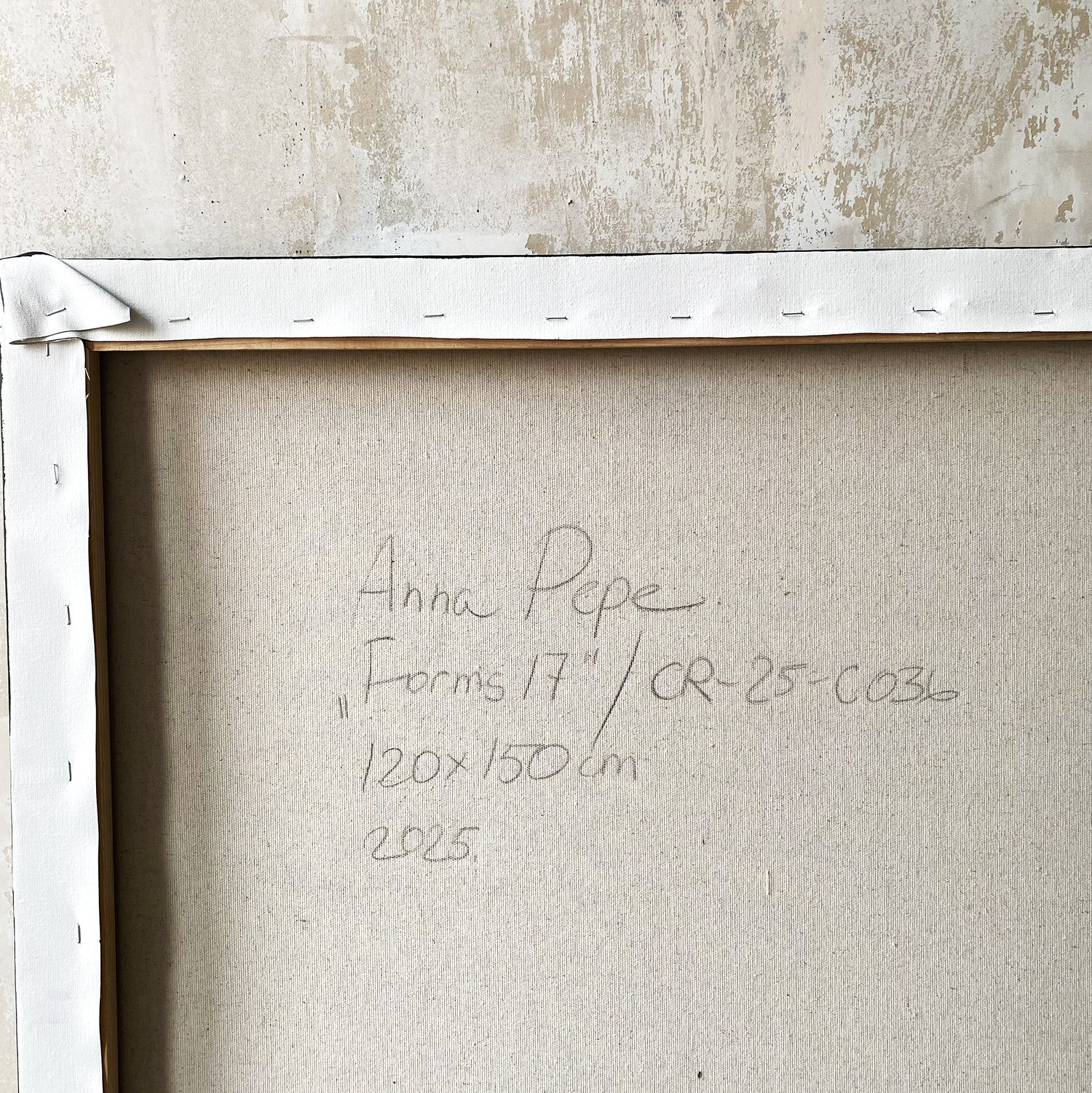 large canvas, acrylic on canvas, oversized wall art, abstract art, Anna Pepe, forn Studio