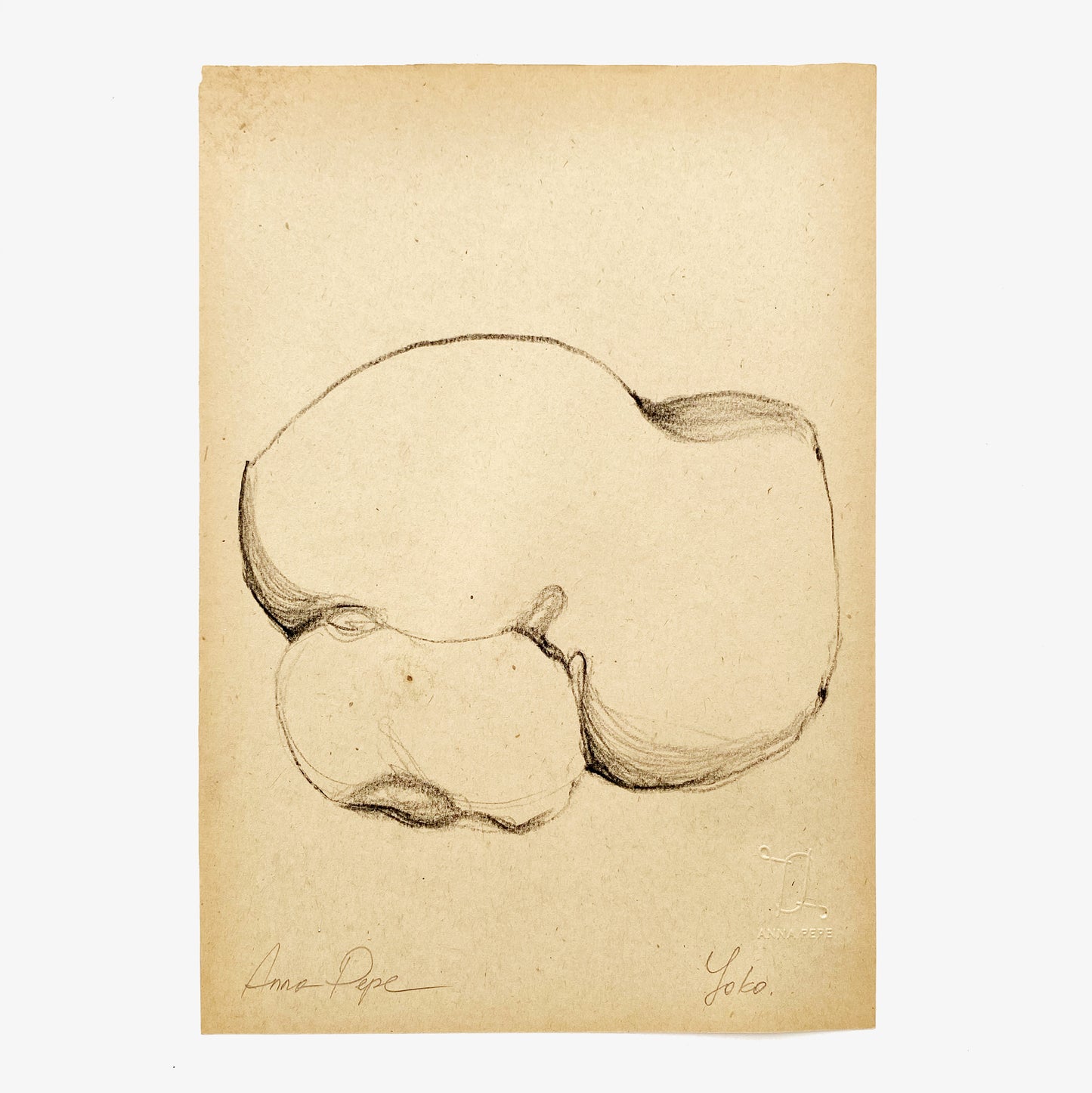 pencil drawing on vintage paper, anna pepe artist, female drawing, collectible art