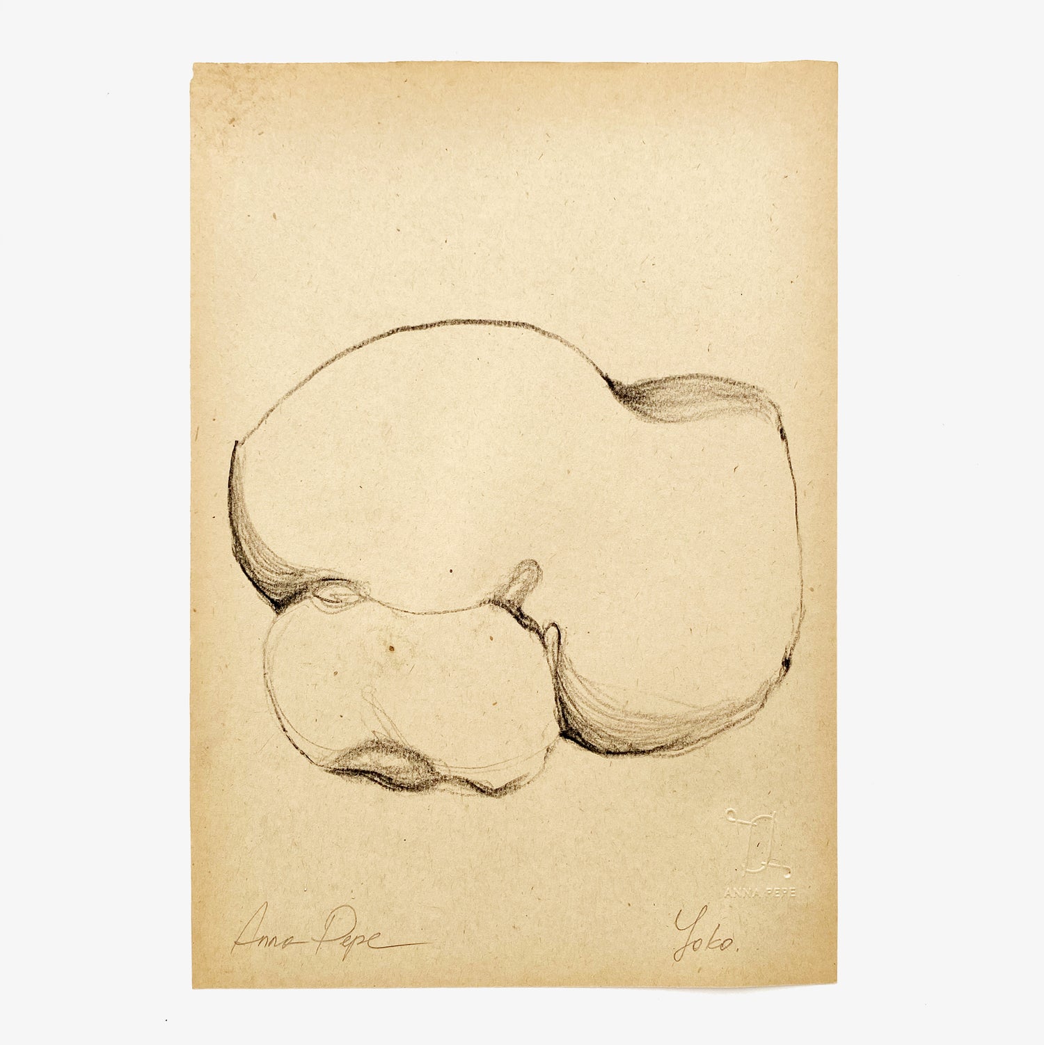 pencil drawing on vintage paper, anna pepe artist, female drawing, collectible art