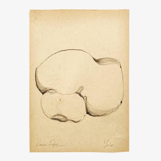 pencil drawing on vintage paper, anna pepe artist, female drawing, collectible art