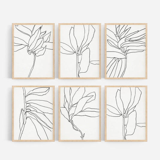 Botanical illustrations, framed prints, anna pepe, giclee print, forn studio